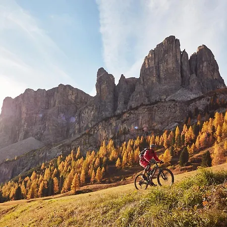 Elisabeth Dolomites Alpin & Charme 4*