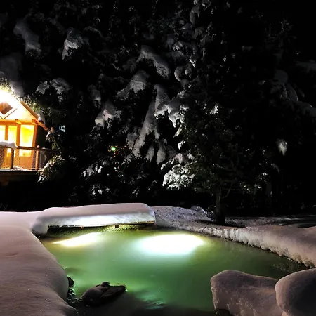 Hotel Elisabeth Dolomites Alpin & Charme Selva di Val Gardena